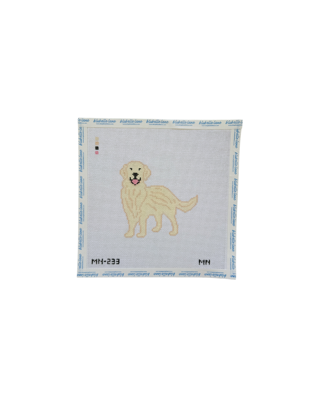 English Cream Golden Retriever