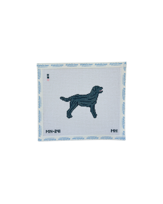 Black Labrador Retriever