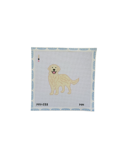 English Cream Golden Retriever