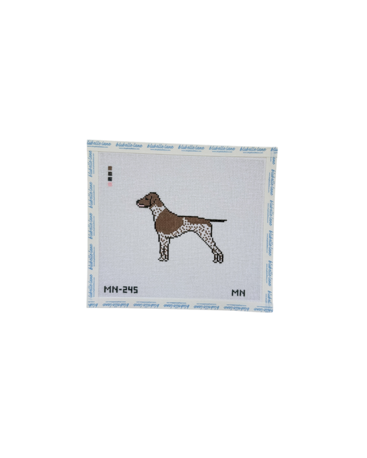 Brown German Shorthaired Pointer