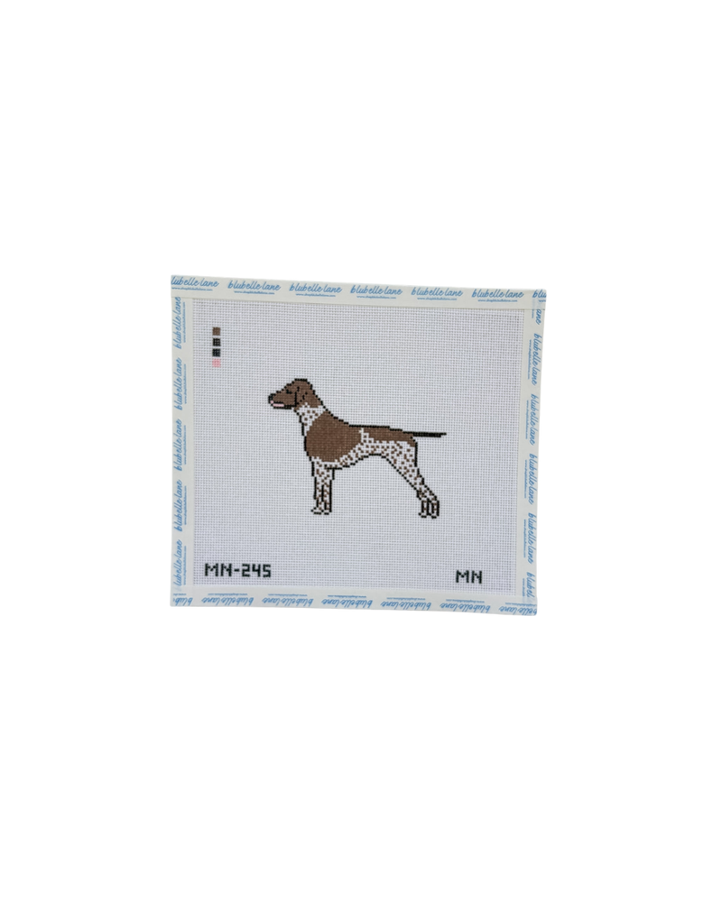 Brown German Shorthaired Pointer